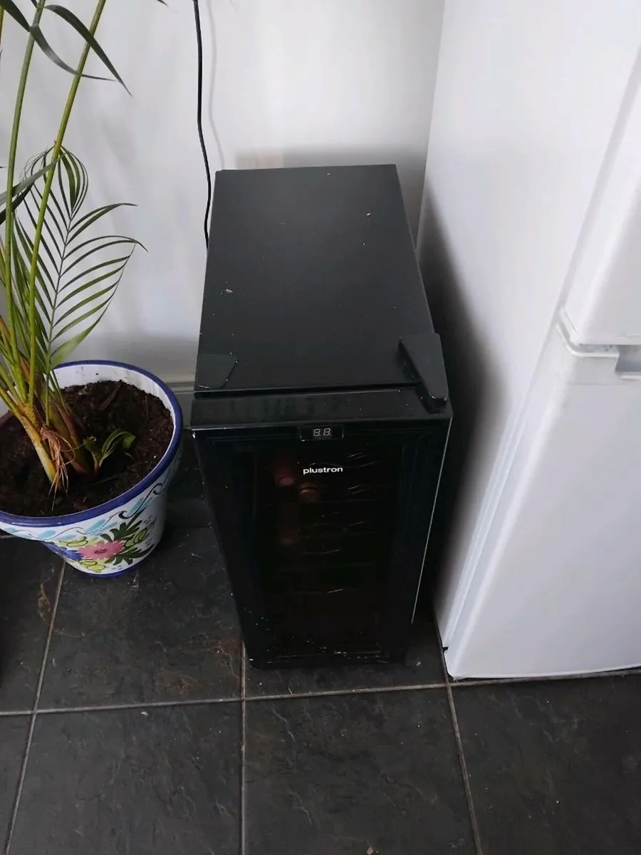 Large Kentia palm with lovely ceramic pot - Image 3