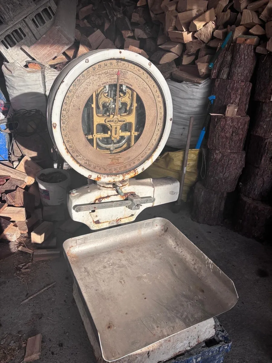Vintage Avery Floor Standing Weighing Scales - Image 1