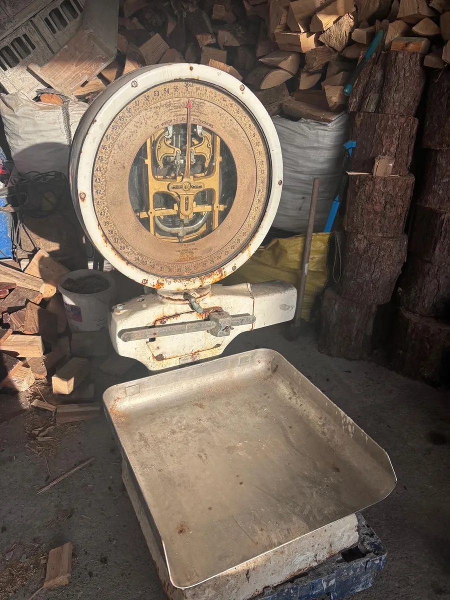 Vintage Avery Floor Standing Weighing Scales - Image 2
