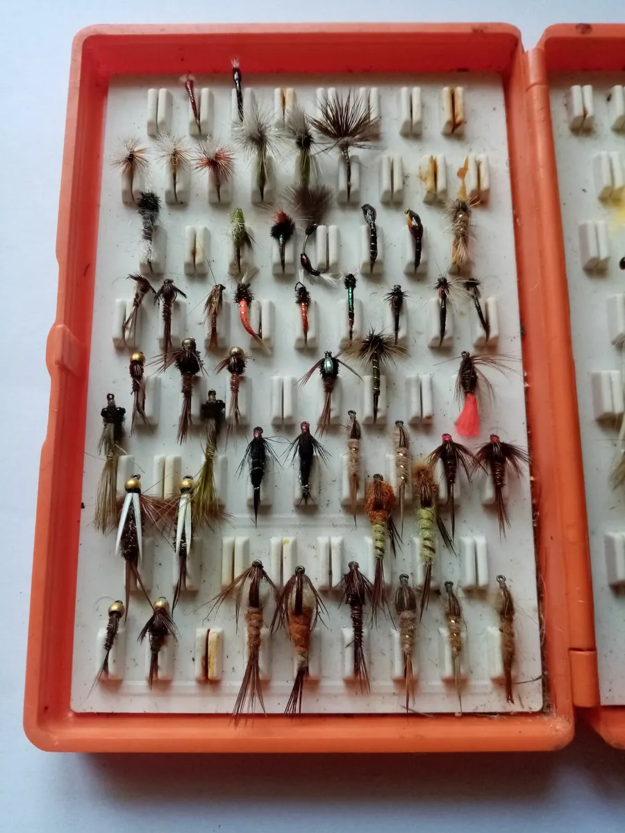 Trout fly box - Image 1