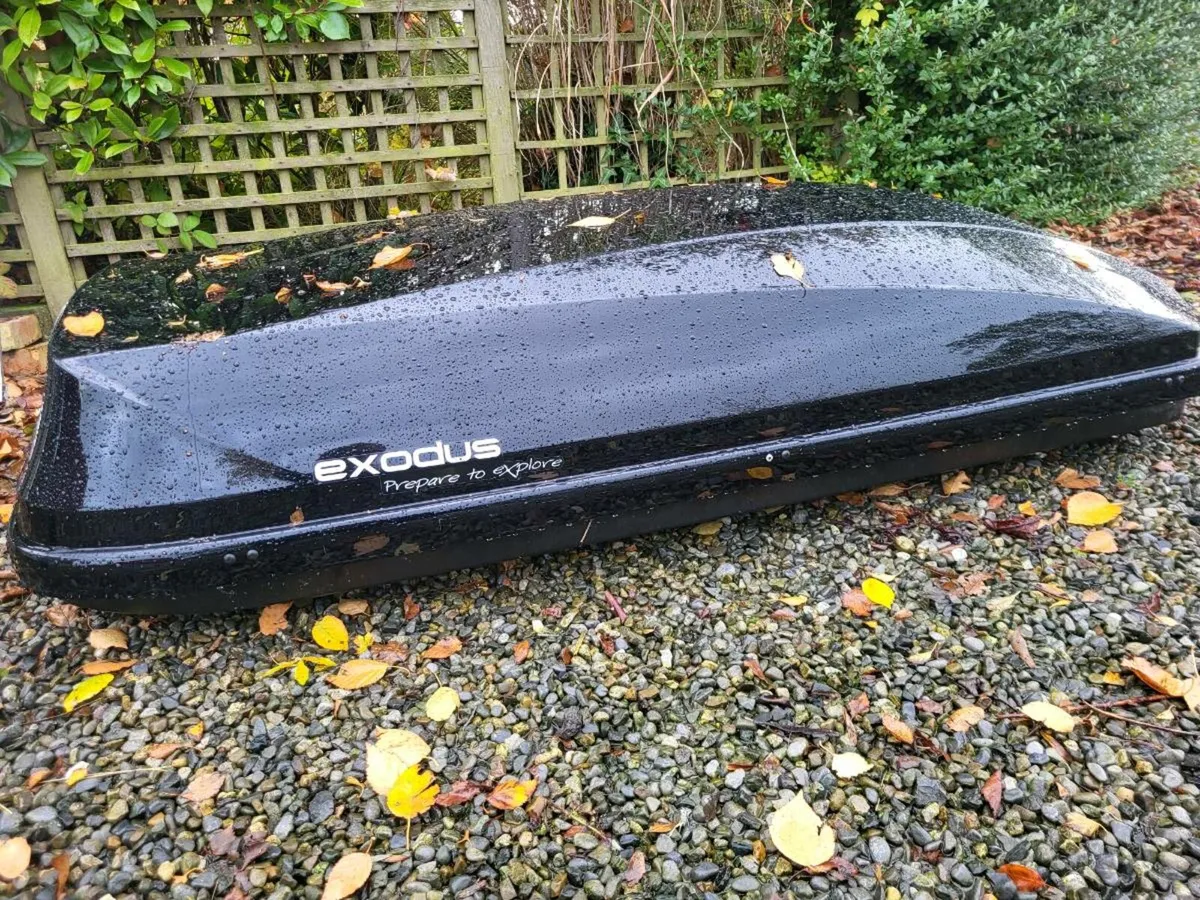 Car roof rack - Image 1