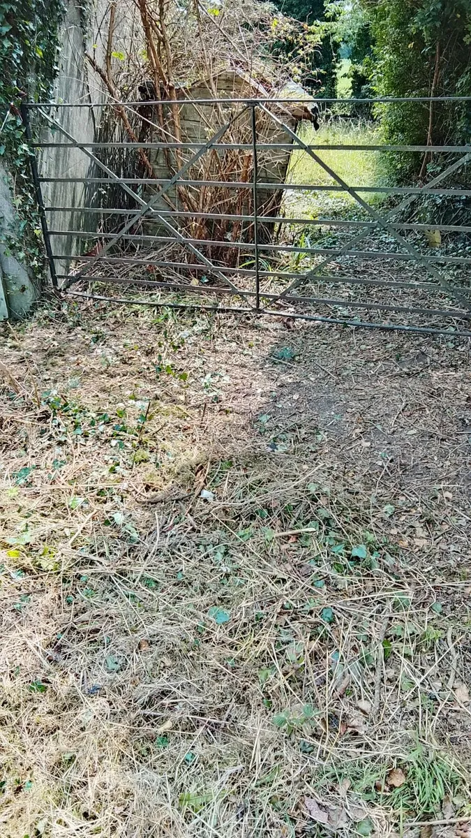 Reliable Handyman available - Image 3