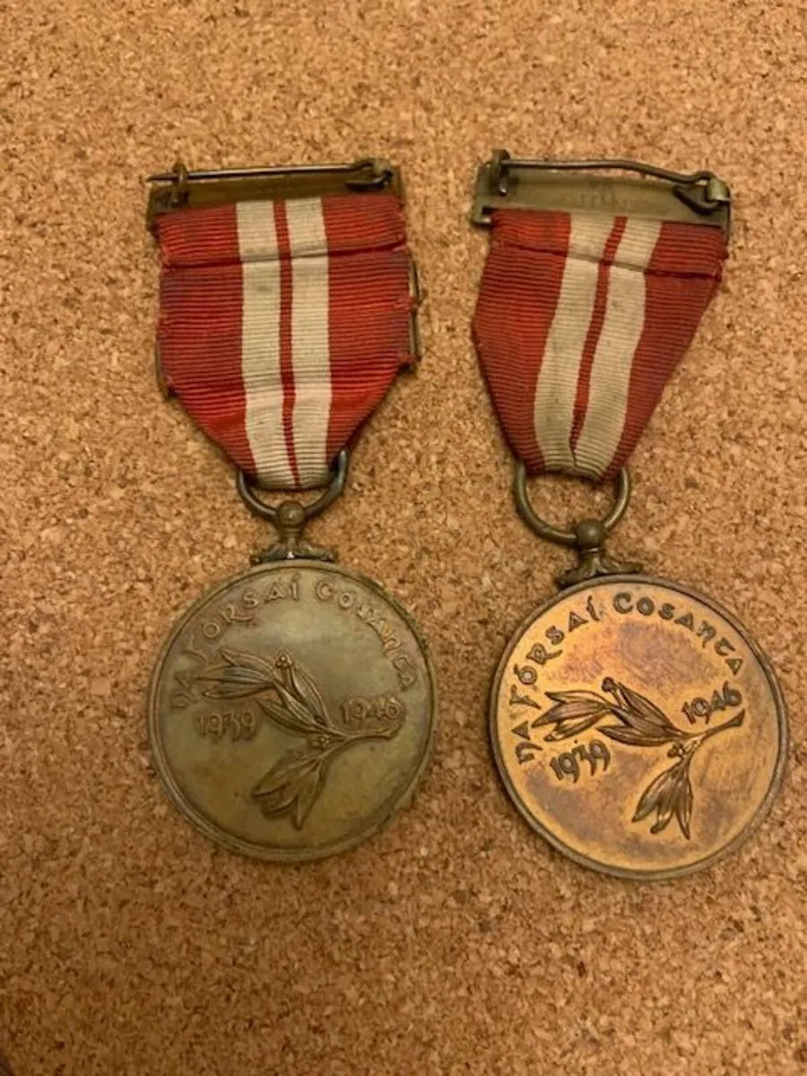 Na Fórsaí Cosanta (Defence Forces) Medals - Image 4