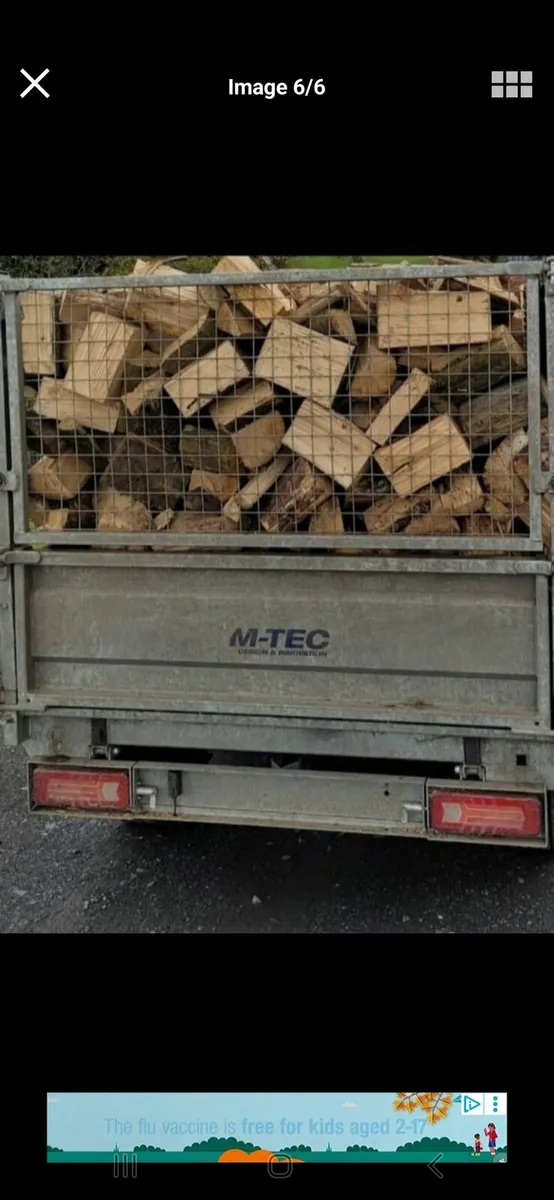Firewood - Image 2