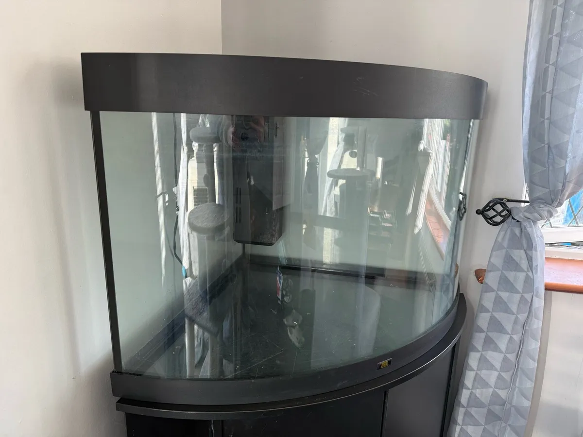 Juwel Aquarium - Image 2