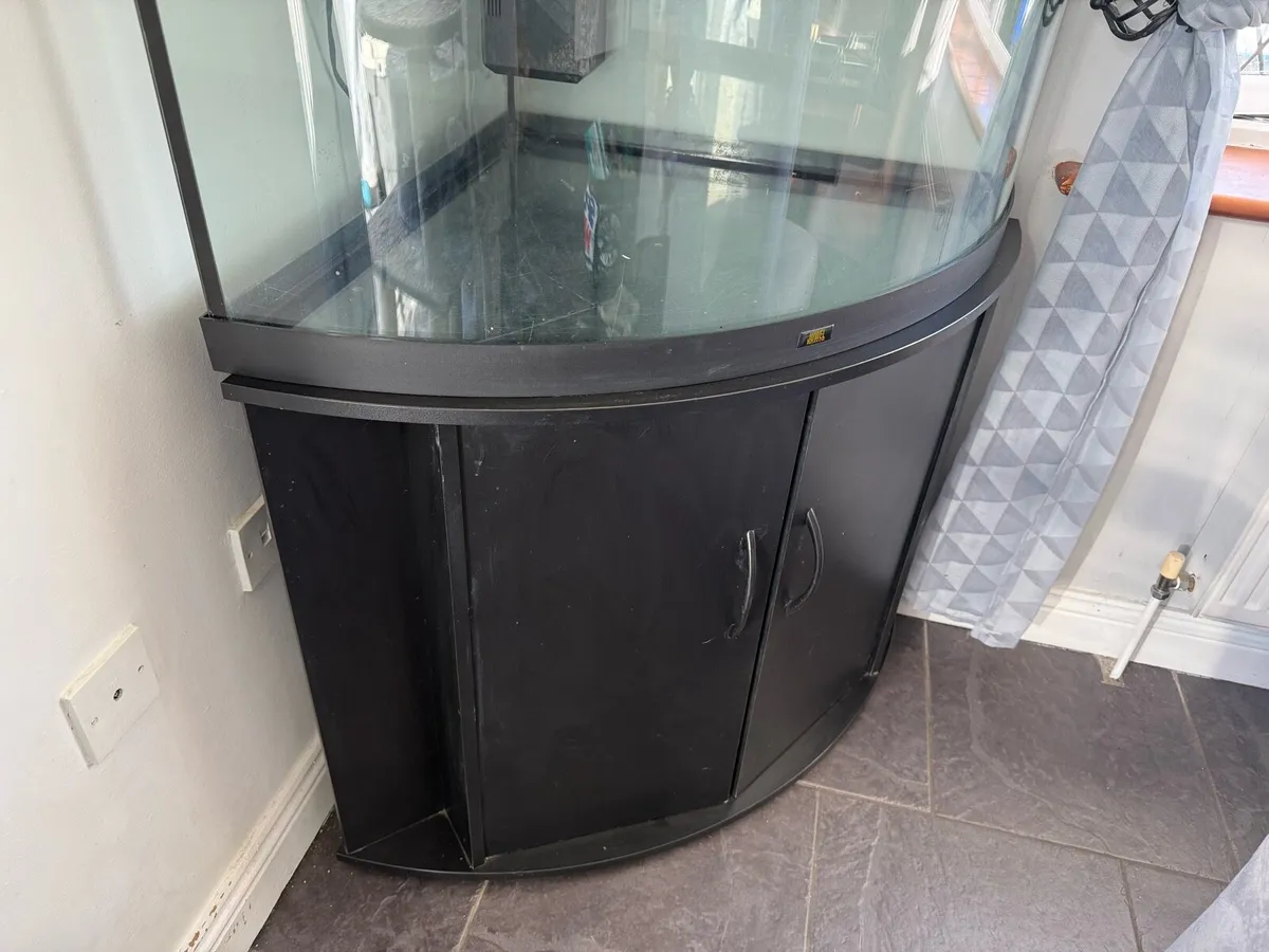 Juwel Aquarium - Image 3
