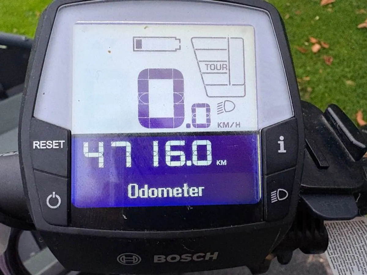 Riese & Muller Load 75 (electric cargo bicycle) - Image 2