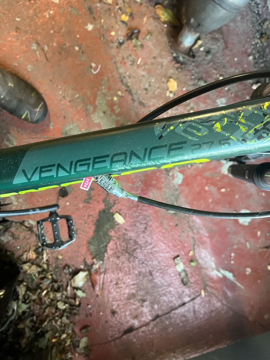 Carrera bike - Image 2