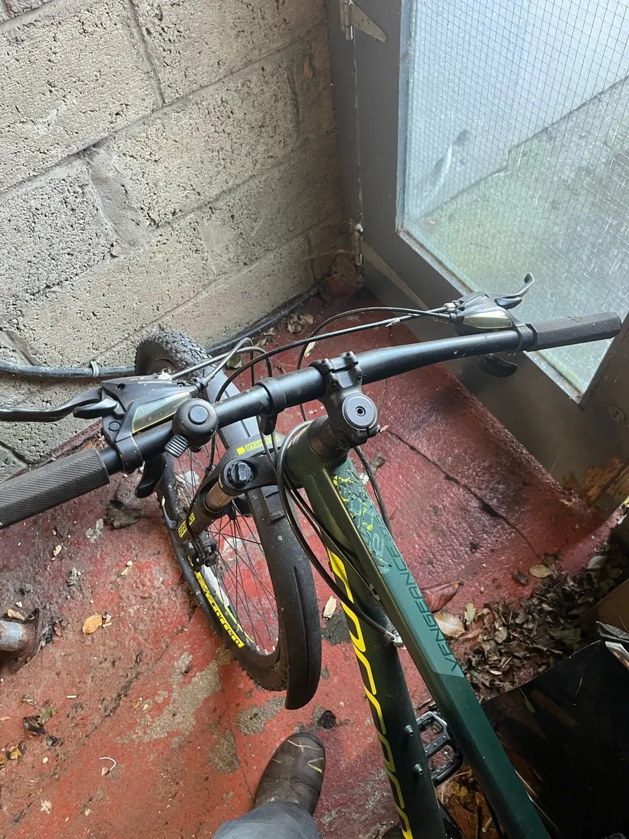 Carrera bike - Image 4