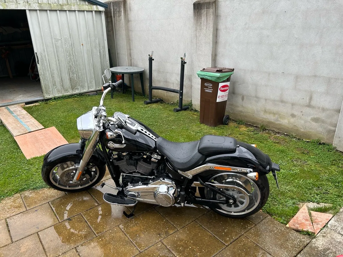 Harley Davidson - Image 3