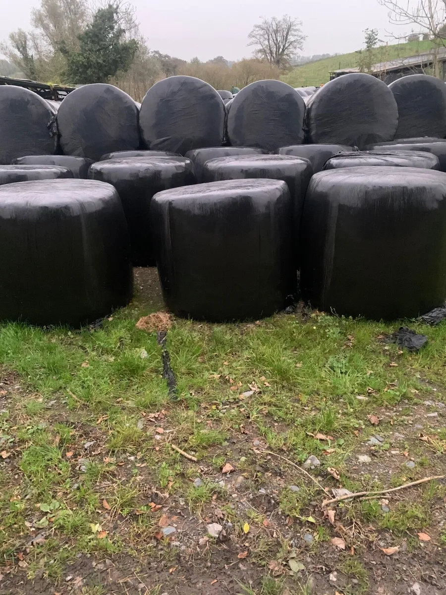 Round bales silage