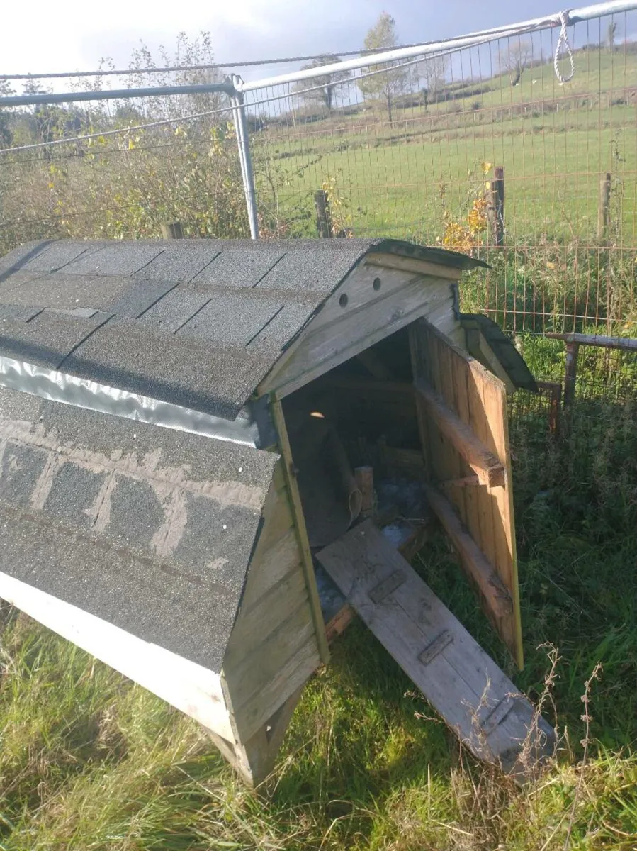 Chicken coup - Image 1