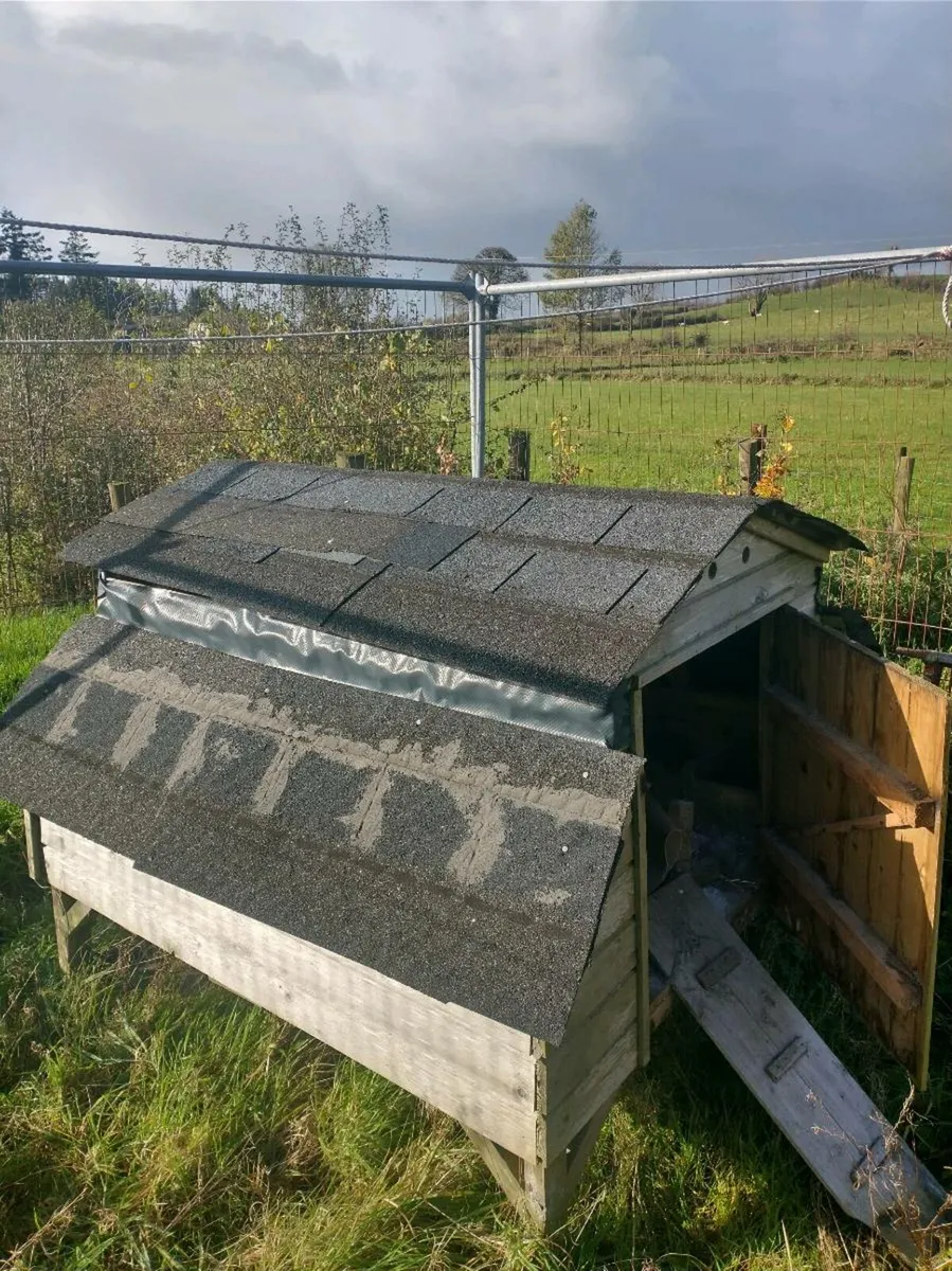 Chicken coup - Image 2