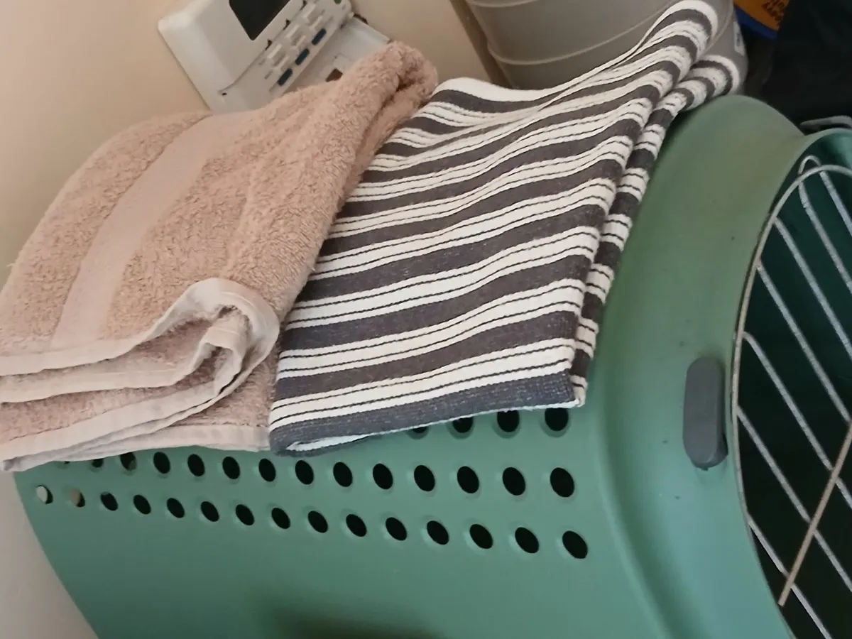 Dog carrier - Image 2