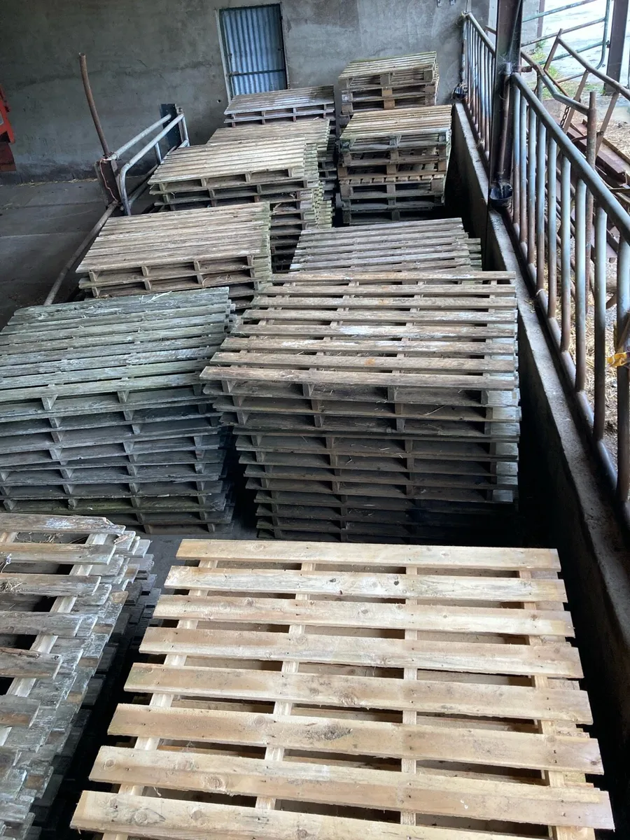 Pallets - Image 1