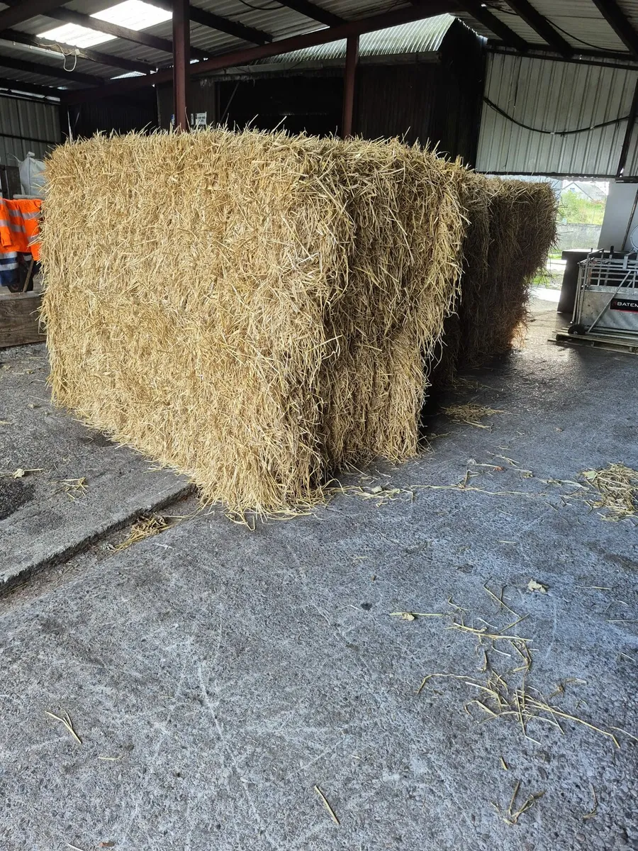 Straw For Sale - Image 1
