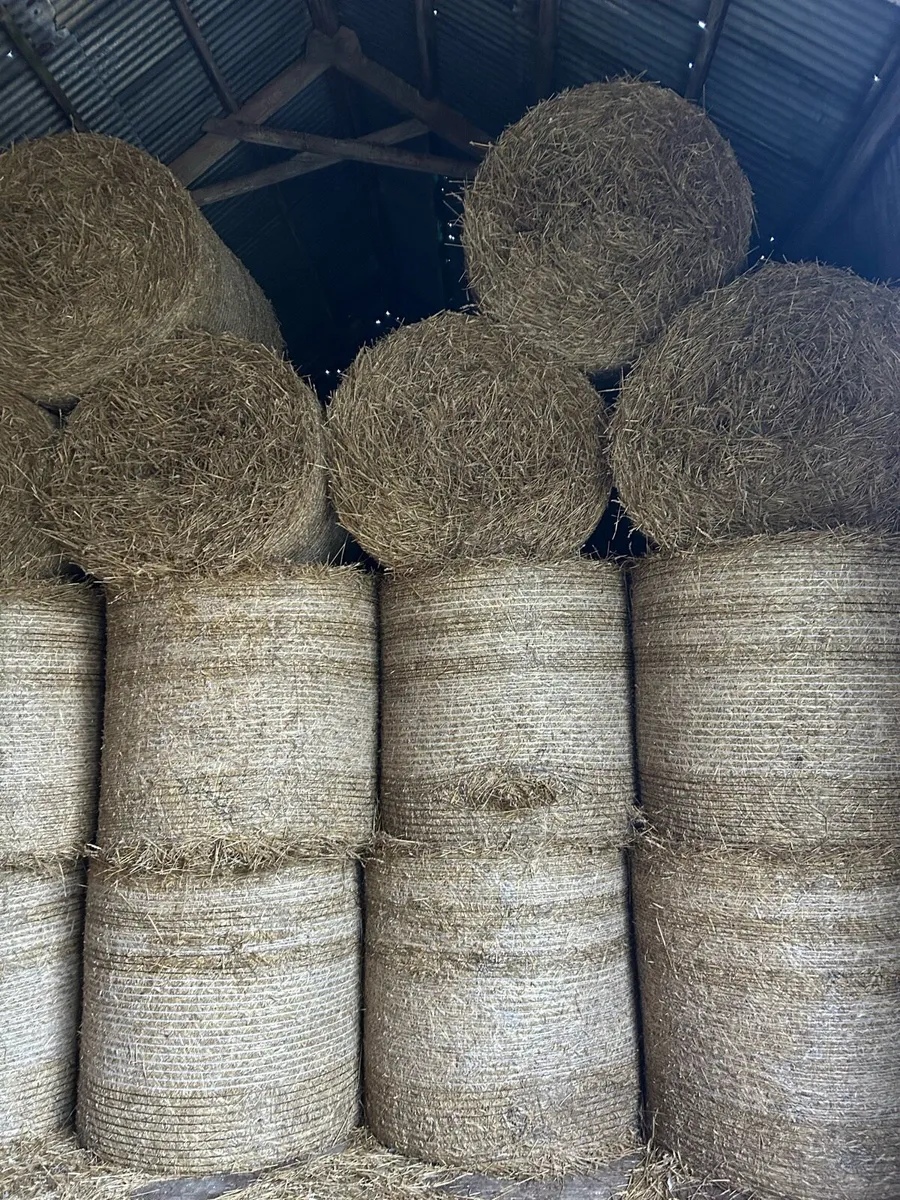 Straw and hay - Image 1