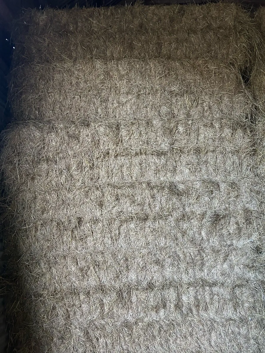 Straw and hay - Image 2