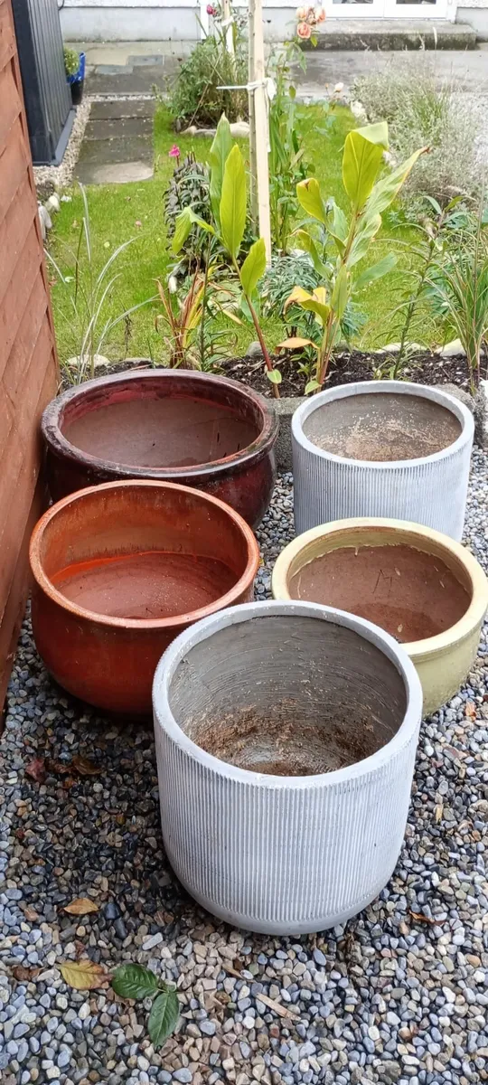 Plant pots - Image 1