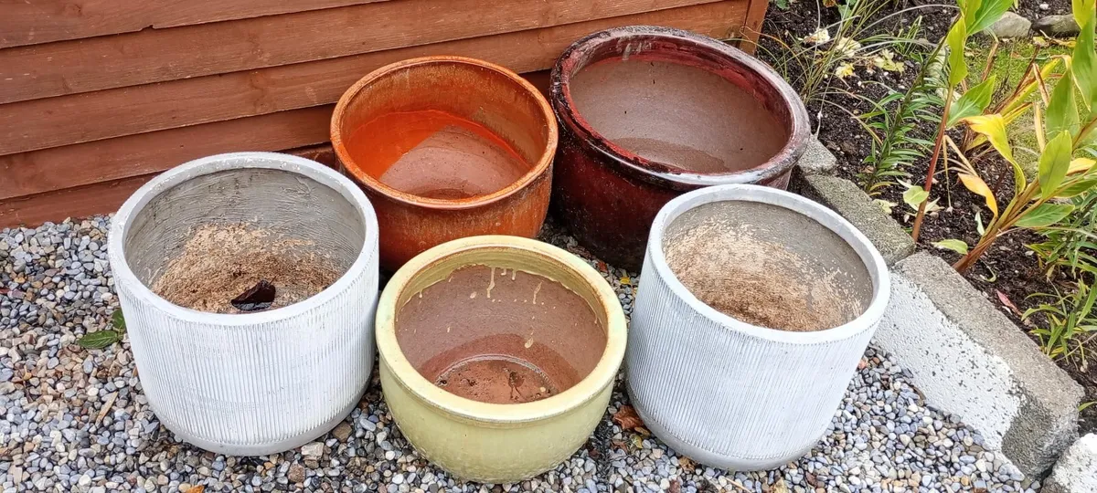 Plant pots - Image 2