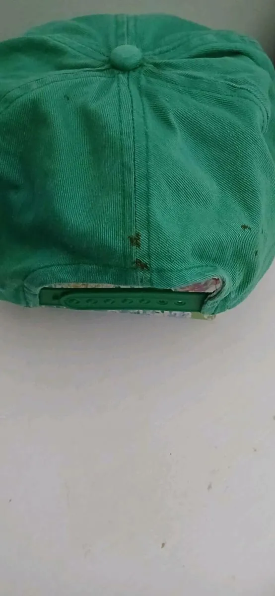 World Cup Mug/ baseball Cap/ Jack Charltons Diary - Image 3