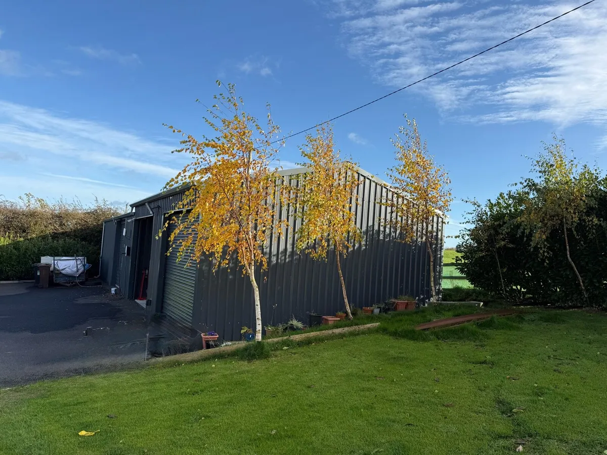 Steel shed - Image 4