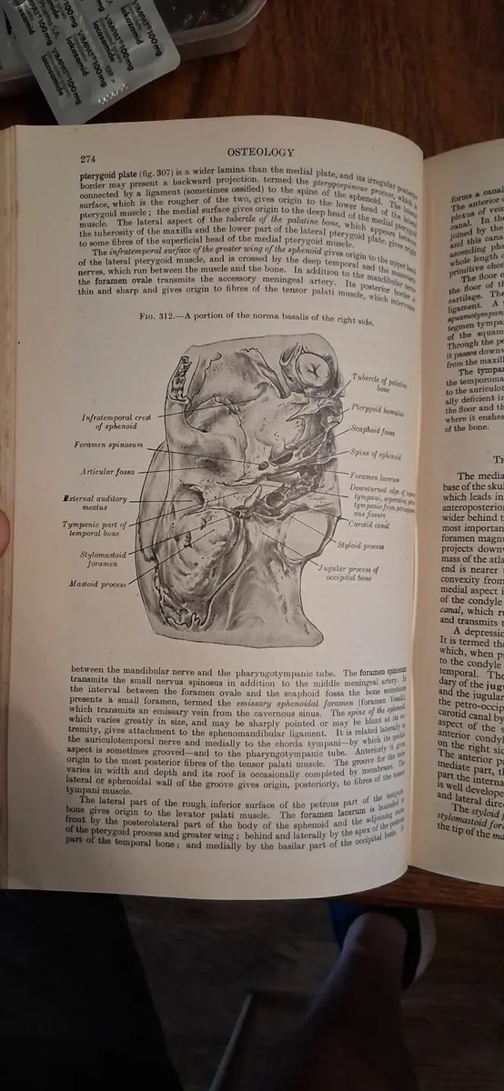 Grays Anatomy 'Descriptive and Applied' - Image 3