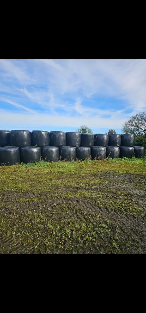 Silage Bales for sale