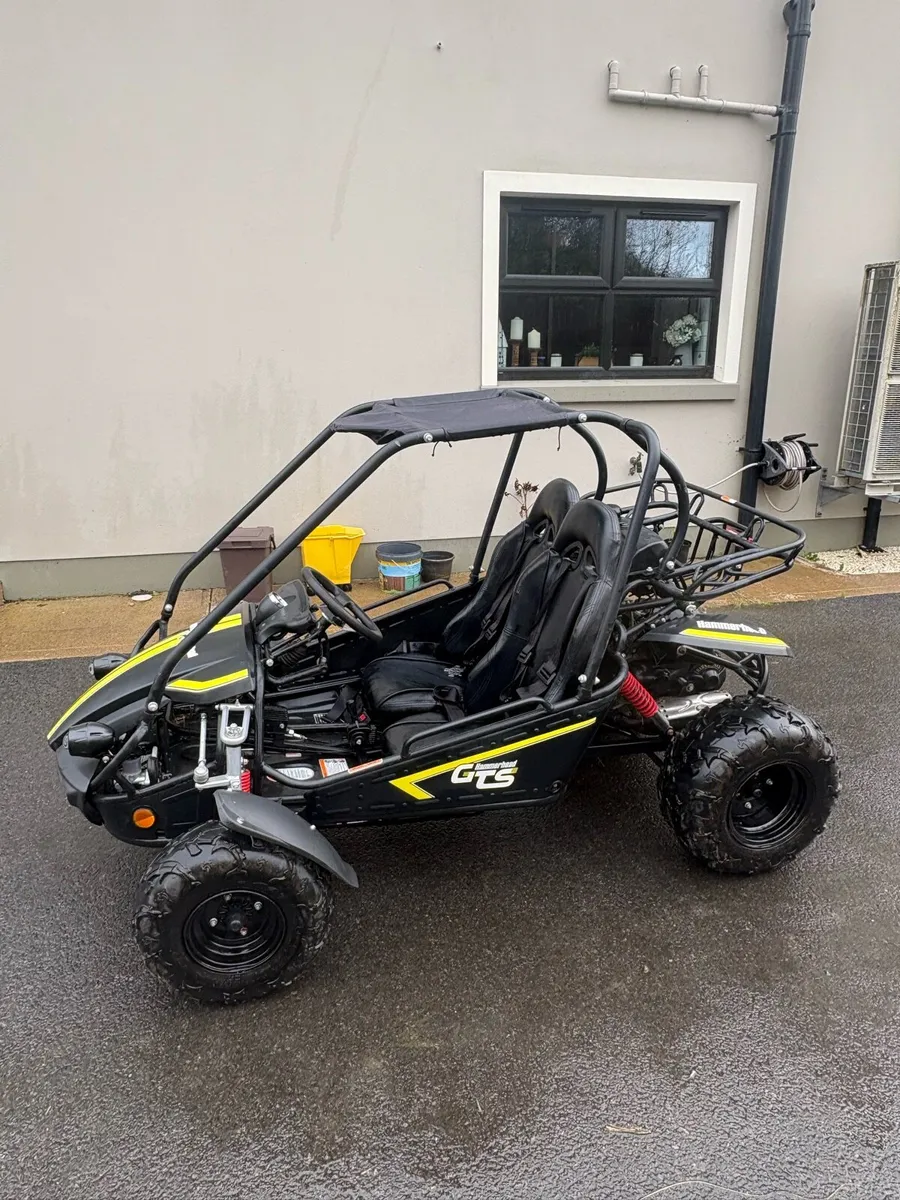 Dune buggies - Image 4