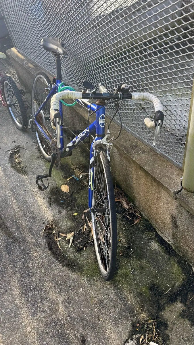 Bicycles for sale - Image 4