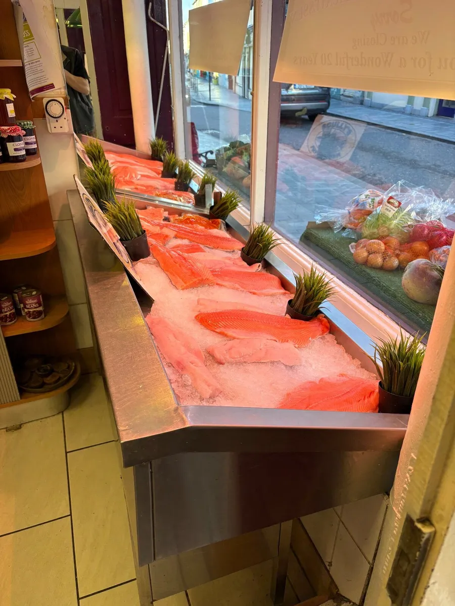 Fish Display counter - Image 2