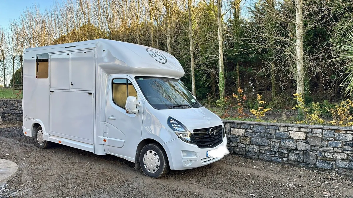 Horsevans built to order - Image 1