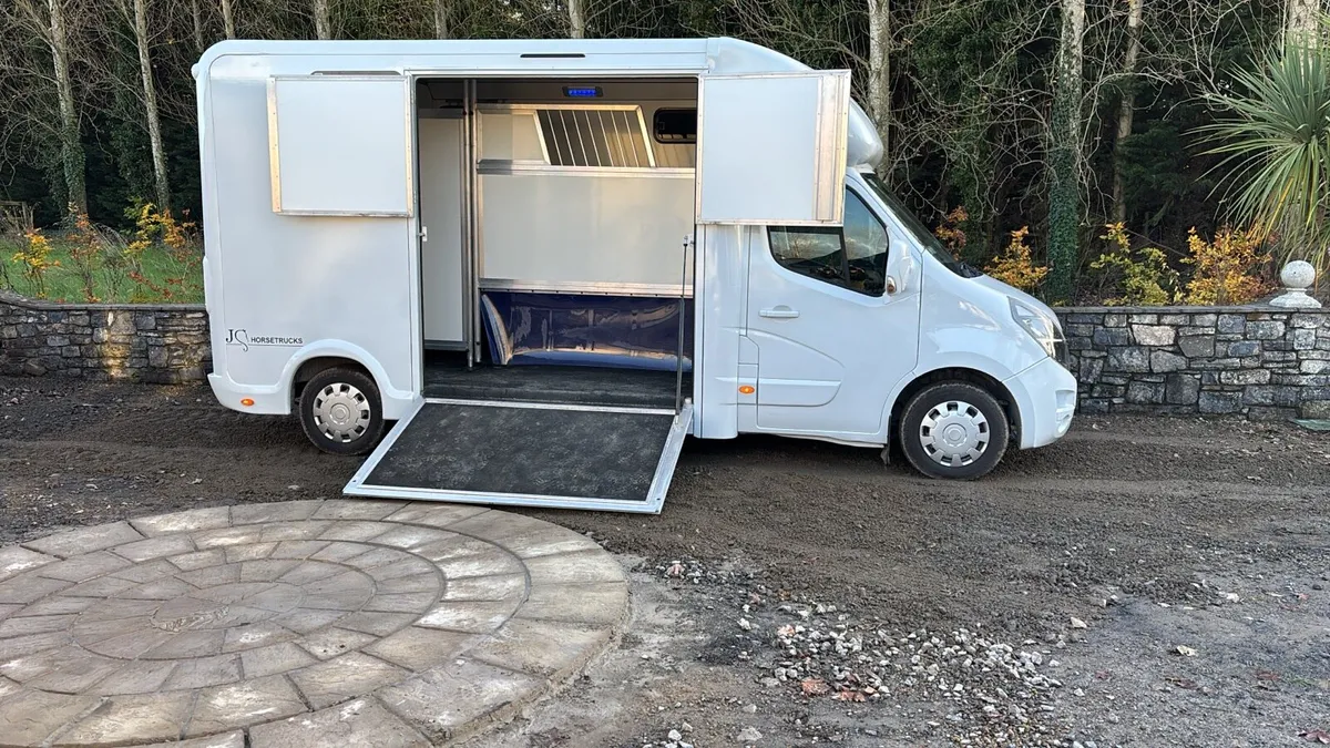 Horsevans built to order - Image 2
