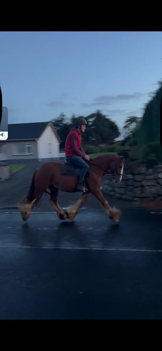 ☘️Fun allrounder ☘️ - Image 4