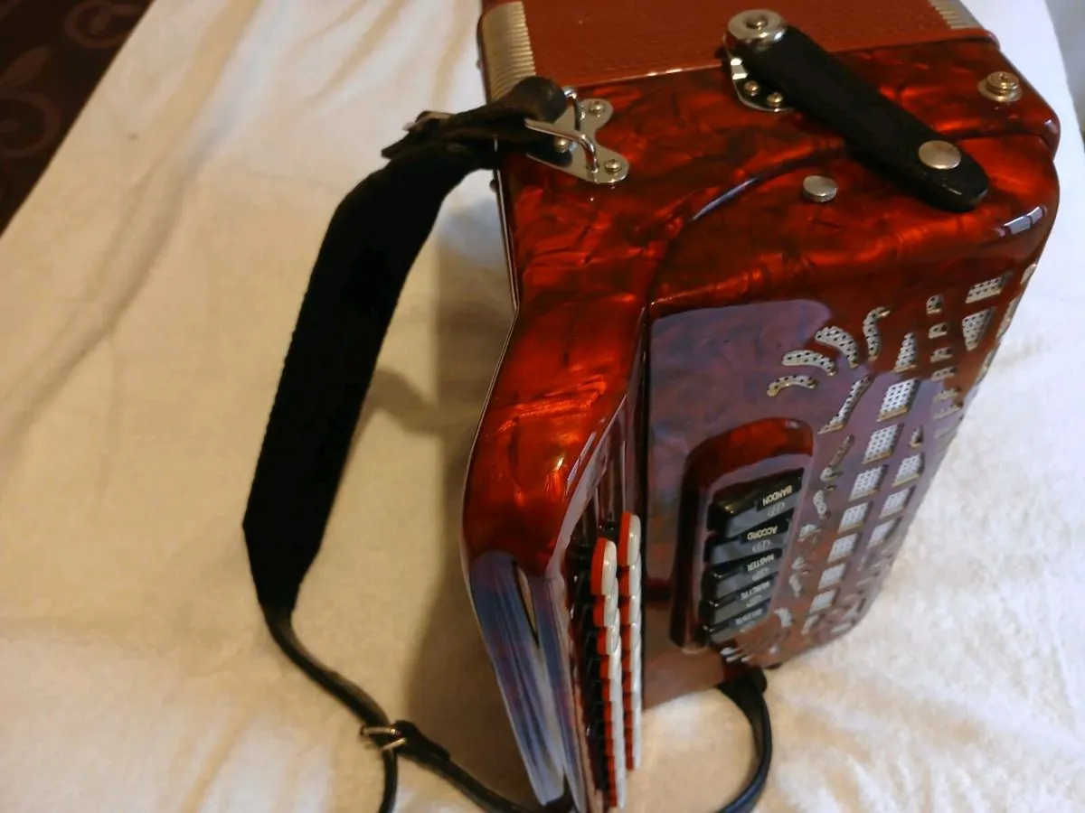 Button Accordion - Image 4