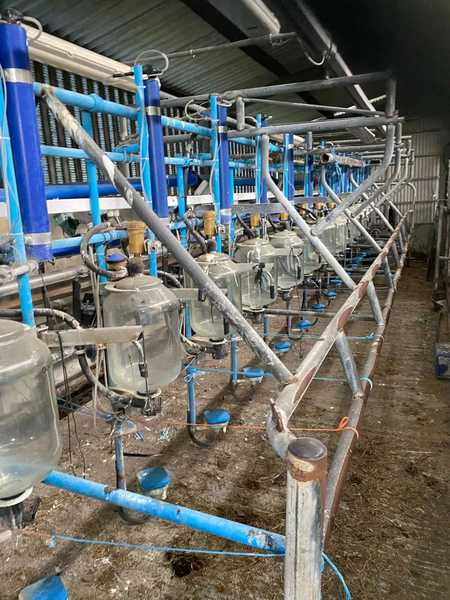13 unit DeLavel milking parlour - Image 1
