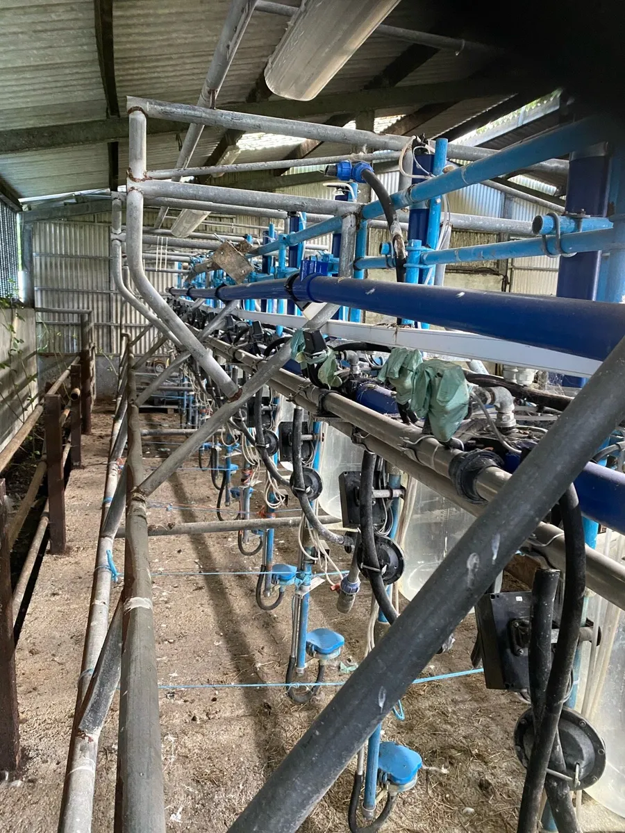 13 unit DeLavel milking parlour - Image 2