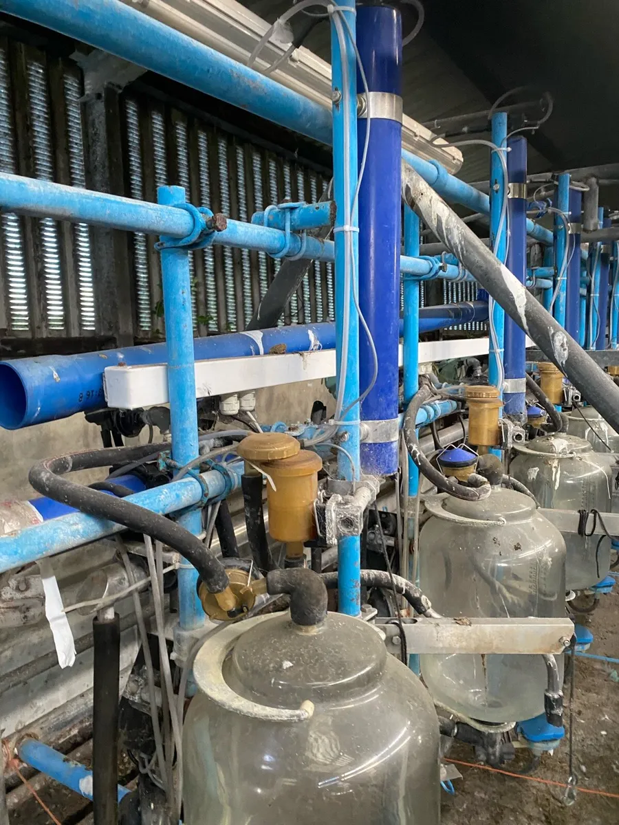 13 unit DeLavel milking parlour - Image 3