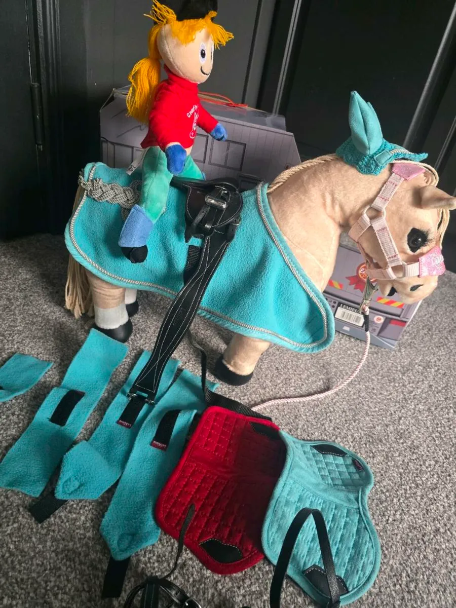 Lemieux pony - Image 1