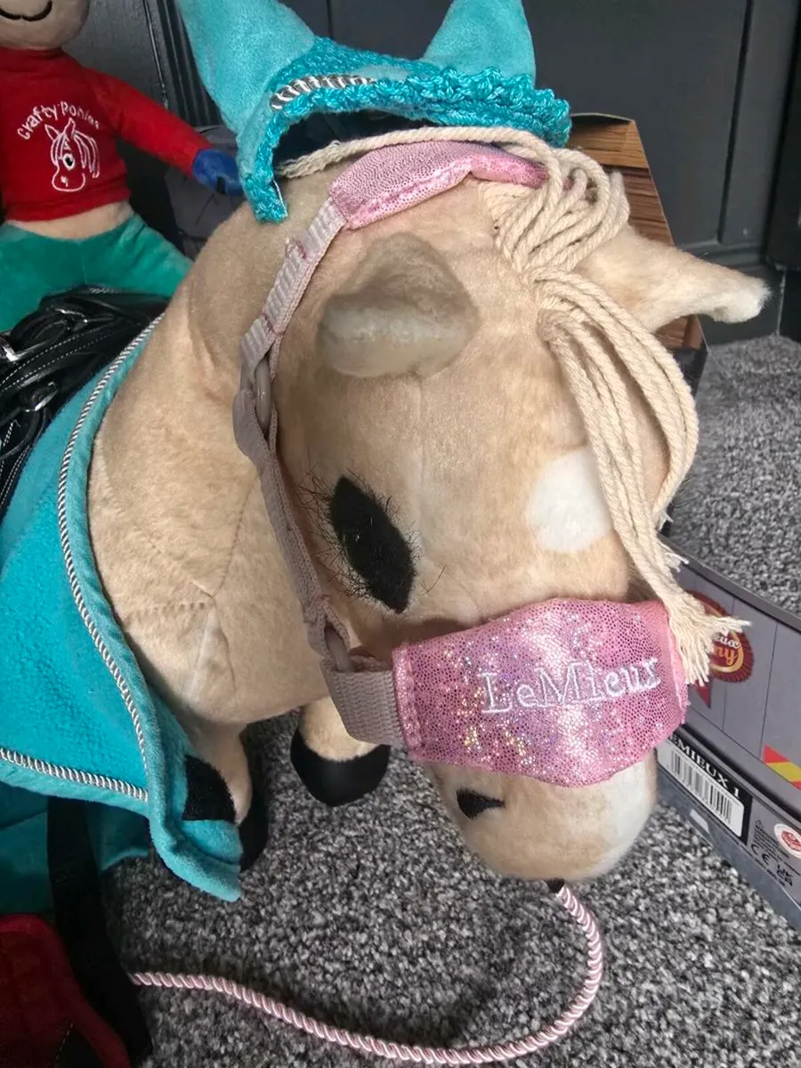 Lemieux pony - Image 2