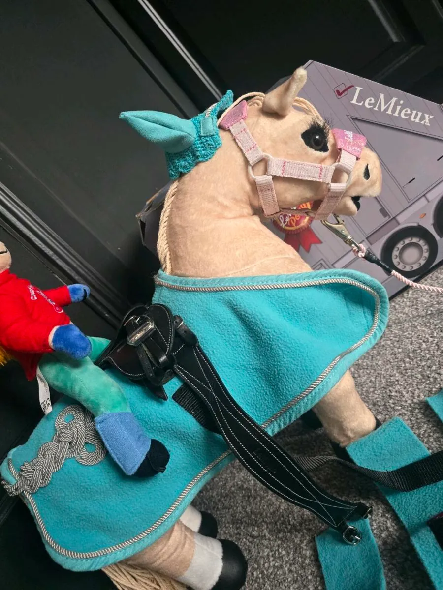 Lemieux pony - Image 3