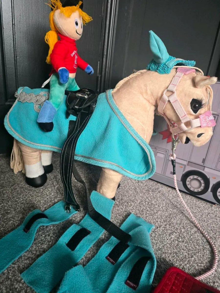 Lemieux pony - Image 4