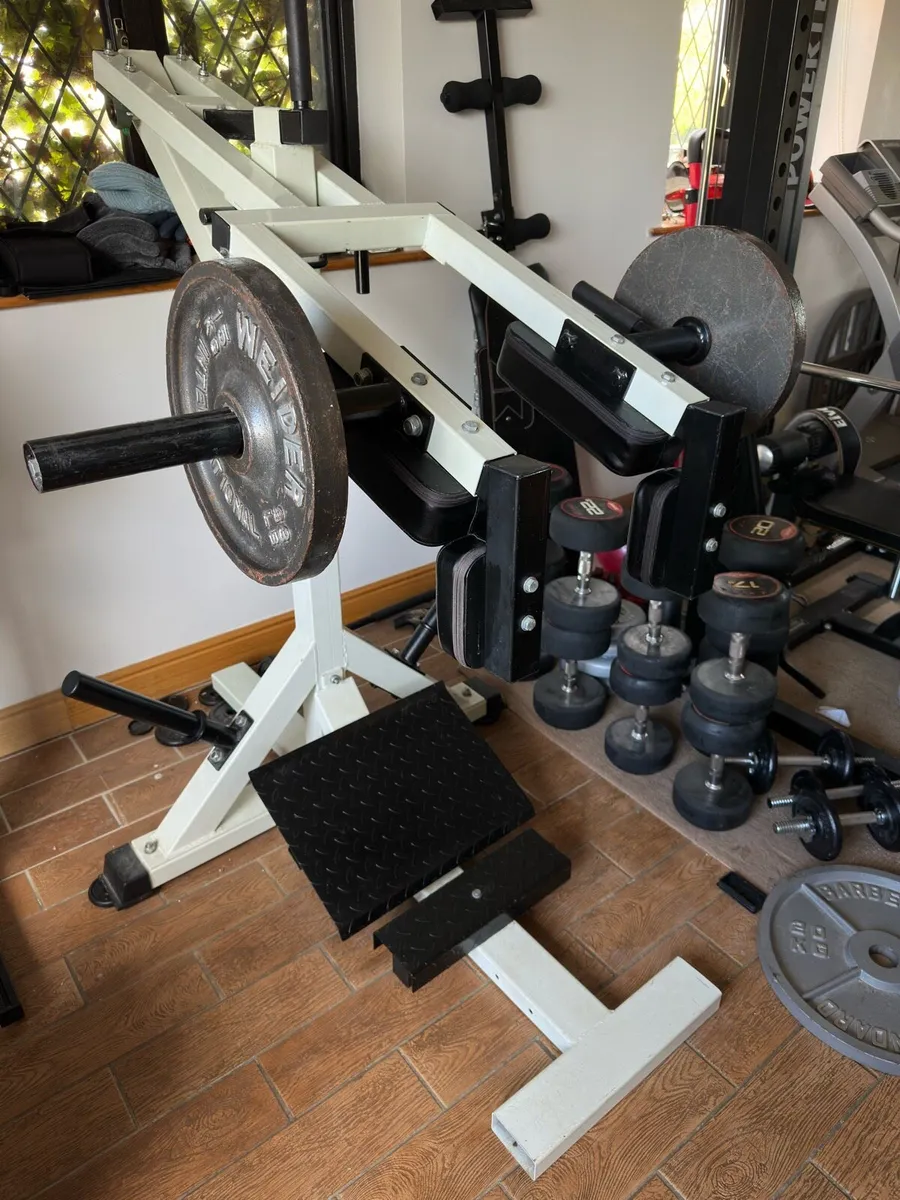 Squat / Calf Raise and Preacher Bench - Image 1