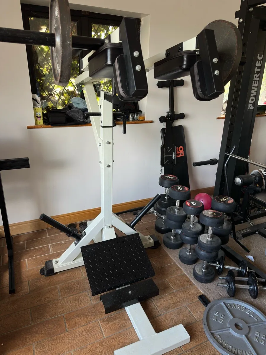 Squat / Calf Raise and Preacher Bench - Image 2