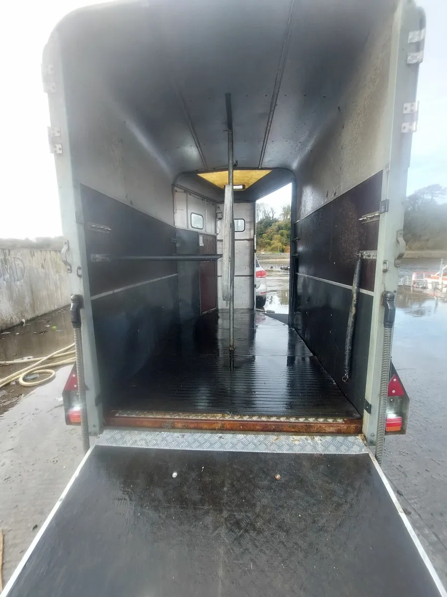 Ifor williams Hb510 Horse box - Image 3