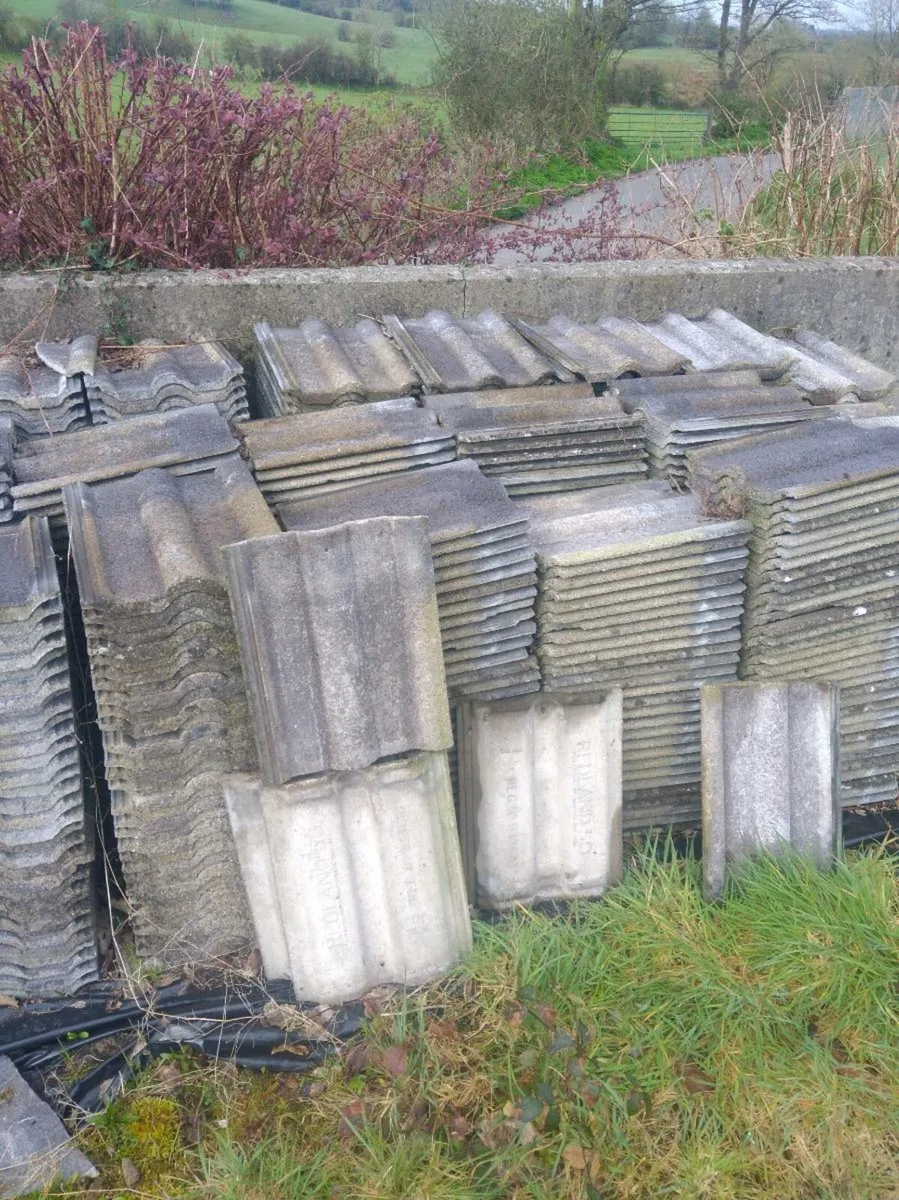 Double Pan Roof Tiles - Image 1