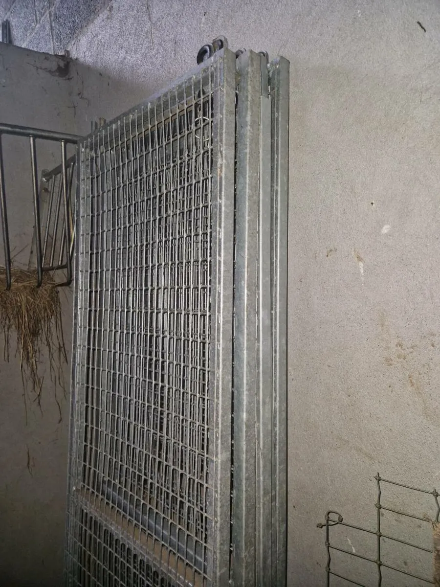 NUGENT Creels / Side mesh - Image 1