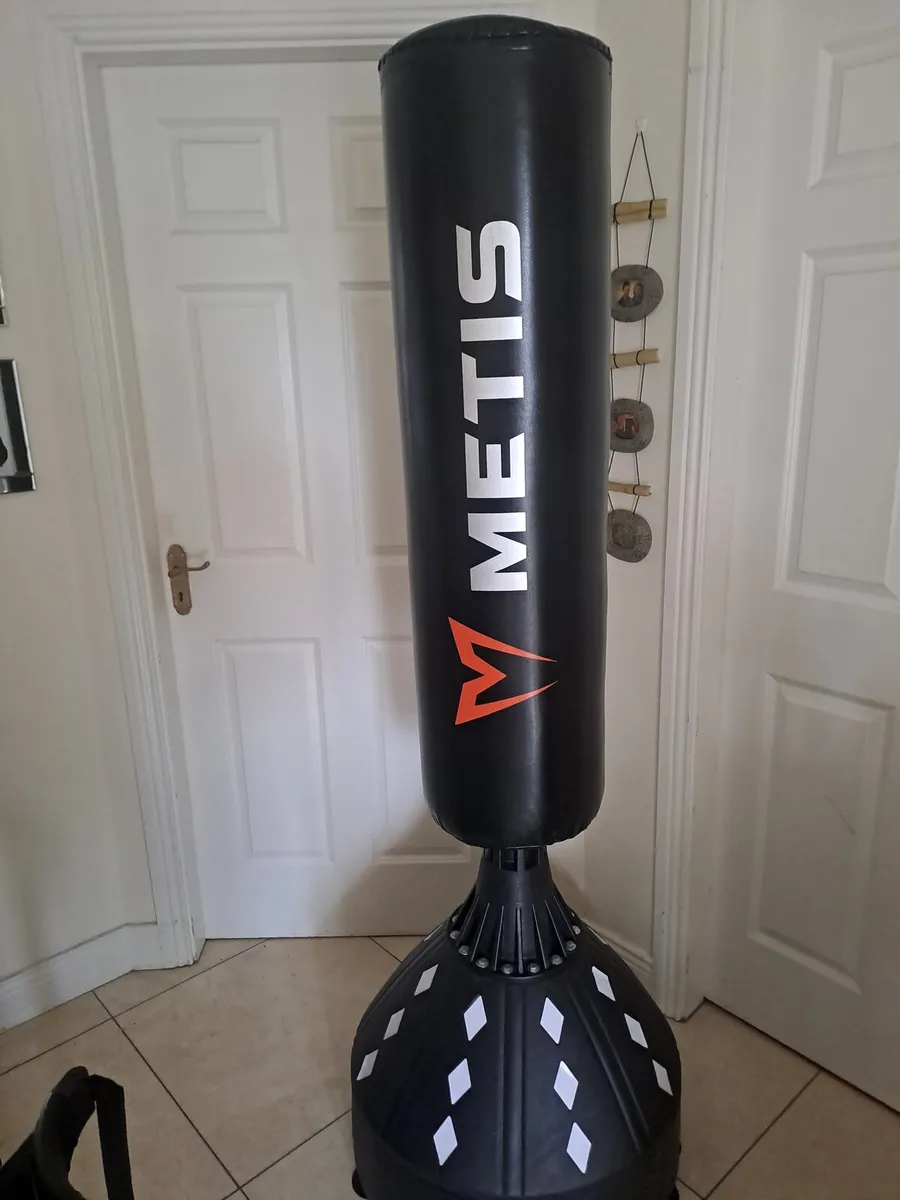Free standing boxing bag - Image 1