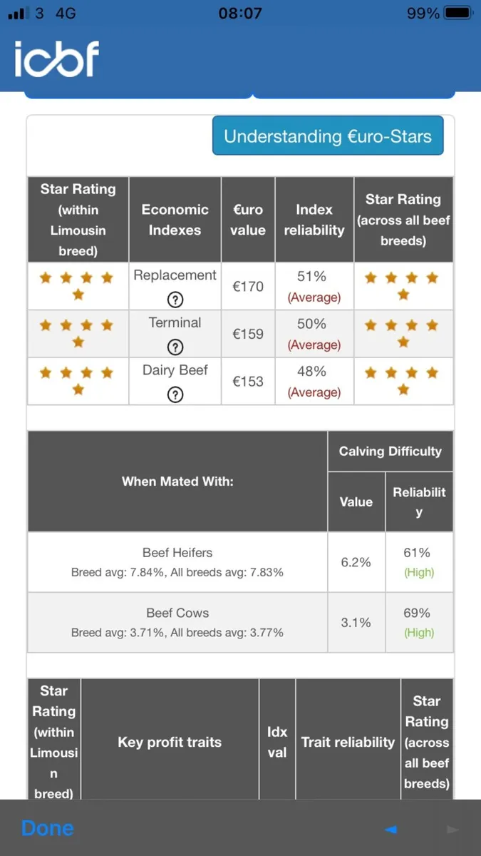 Limousine bull - Image 3