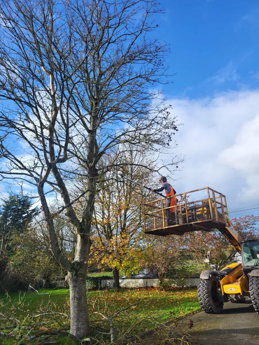 Tree surgery